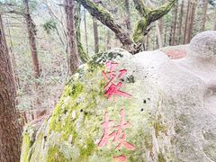 -罗田薄刀峰风景区