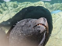 -长隆海洋王国-海洋大街餐厅