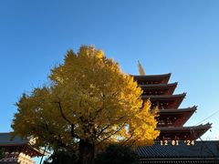 -浅草寺