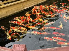 -香麒园·过桥米线·南湖雅宴