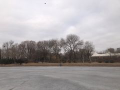 -泰丰公园