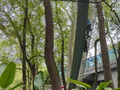-芦仙山景区-飞越丛林探险乐园