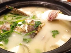 豆腐粉皮鱼头汤-港丽餐厅(高德置地店)