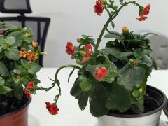 -应急管理部应急总医院(主院区)