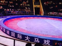 iphone_upload_pic-武汉杂技厅