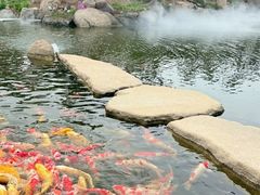 -罗红摄影艺术馆