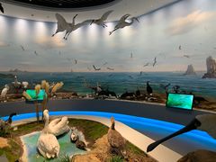 -大连市规划展示中心