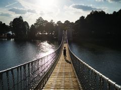 -东湖落雁景区