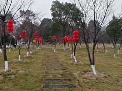 -广东大峡谷