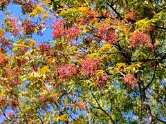 -国家植物园南园