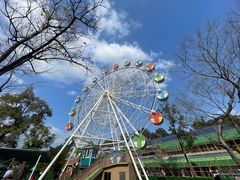 -森波拉奇妙世界