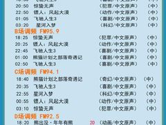 -枫花园汽车电影院(朝阳公园店)