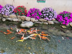 -一品烧农庄·佛山本地特色菜