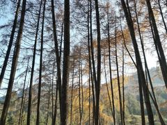 -硗碛藏寨·神木垒景区
