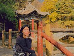 -王顺山国家森林公园