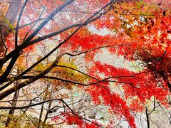 -崂山巨峰游览区