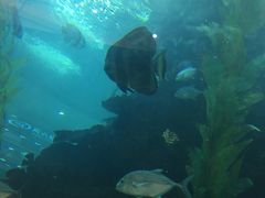 -鸿通城购物中心