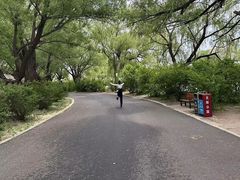 -北陵公园