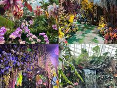 -正佳雨林生态植物园