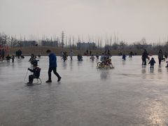 -绿野森林乐园冰雪季