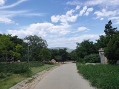 -北京西山国家森林公园