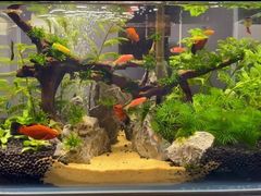 -三旗百汇商品城