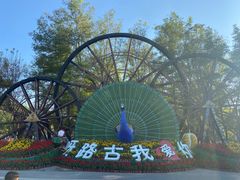 -呀路古热带植物园