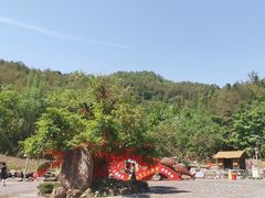 -梁野山景区