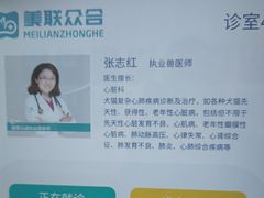 -美联众合动物医院·24h转诊中心