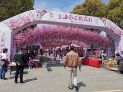 -南汇桃花村