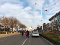 -日照灯塔风景区