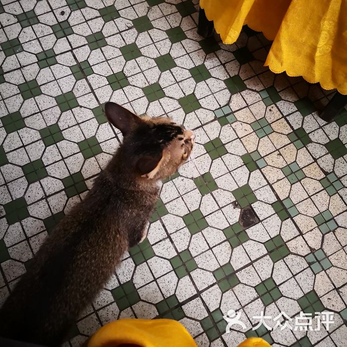 精灵           阿比泡泡           fishssssss           无聊龙