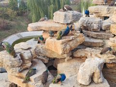 -太原动物园