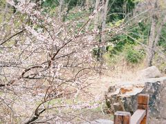 -长春净月潭风景名胜区