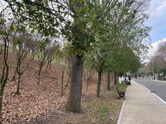 -天河潭旅游度假区