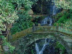 -野蔓果·山野菜(西湖景区·龙井茶田店)