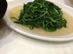 -苏启渔港(云南北路店)