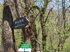 -大九湖