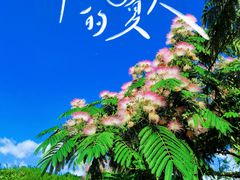 -周洛大峡谷