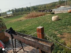 -丹世红酒庄·烧烤·团建·婚礼·水上运动