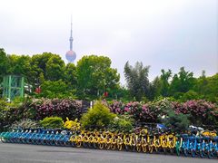 -北外滩滨江绿地