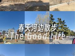 -黄河花园口旅游区
