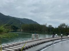 -小芝红树林