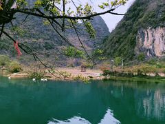 -靖西鹅泉风景区