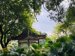 -晓港公园