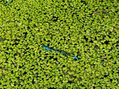 -白水寺森林公园