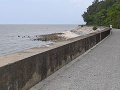 -北海金海湾红树林生态旅游区