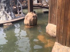 裕龙温泉-裕龙汤泉