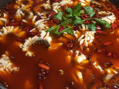 -重庆乌鱼庄·龙滋鲜(青羊大道店)