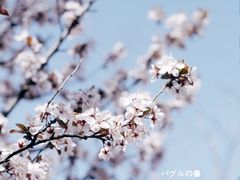 -龙洞风景区-藏龙涧